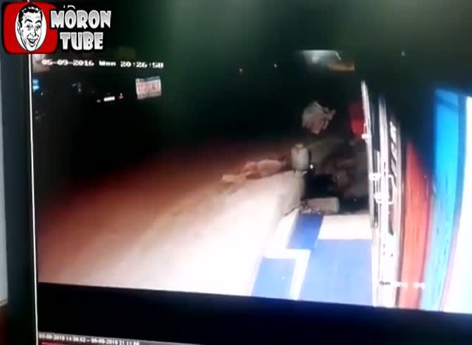 Video :Holy cow!